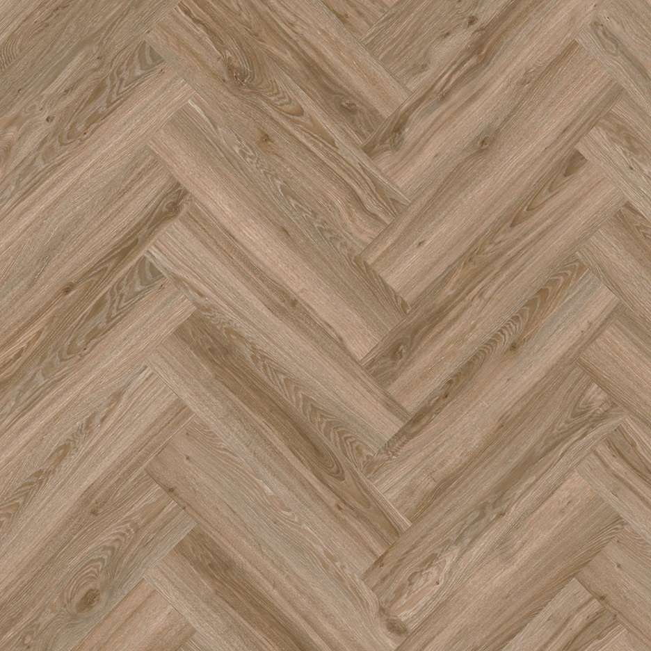 Blackjack Oak 22229